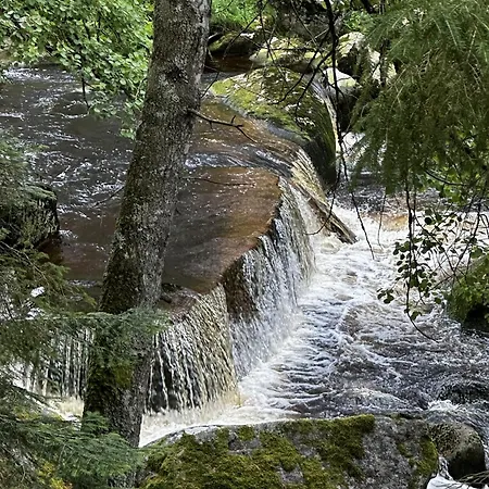 Mala Kraska Дом отдыха